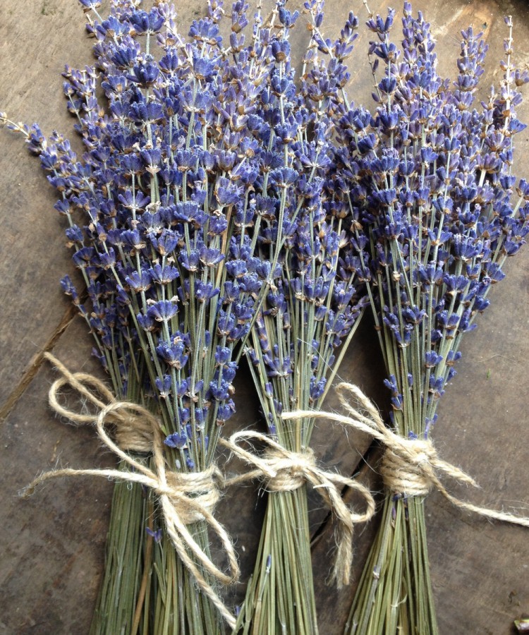 lavender pew ends