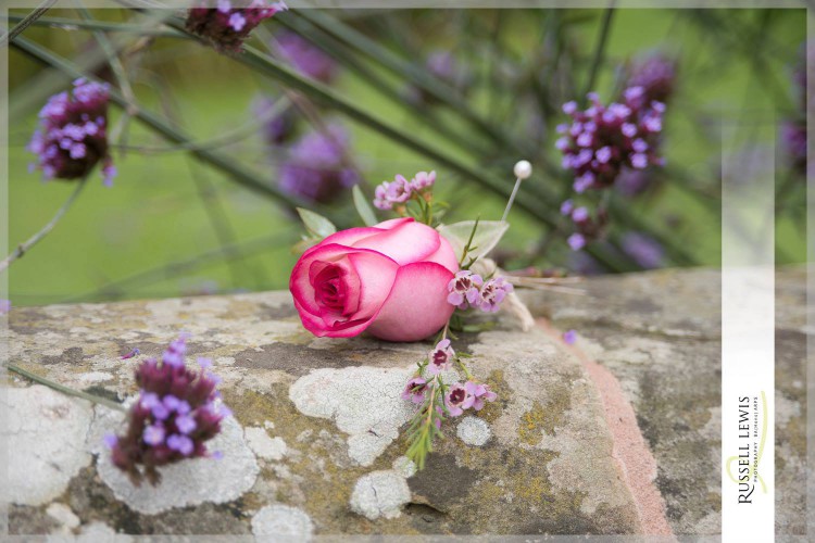 pink rose buttonhole