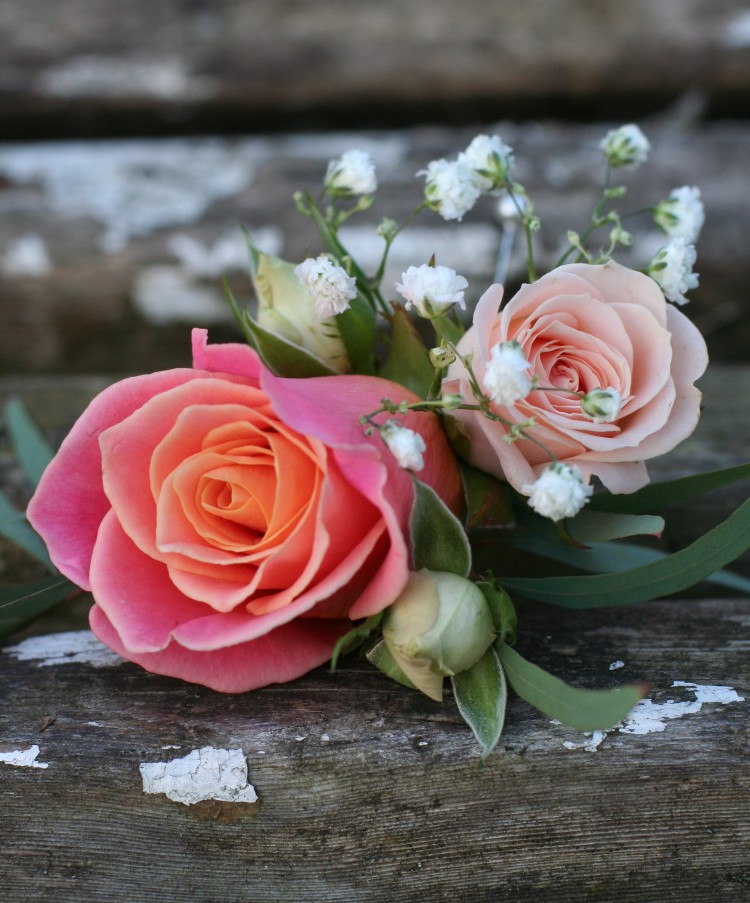 grooms buttonhole of 'Miss Piggy' rose