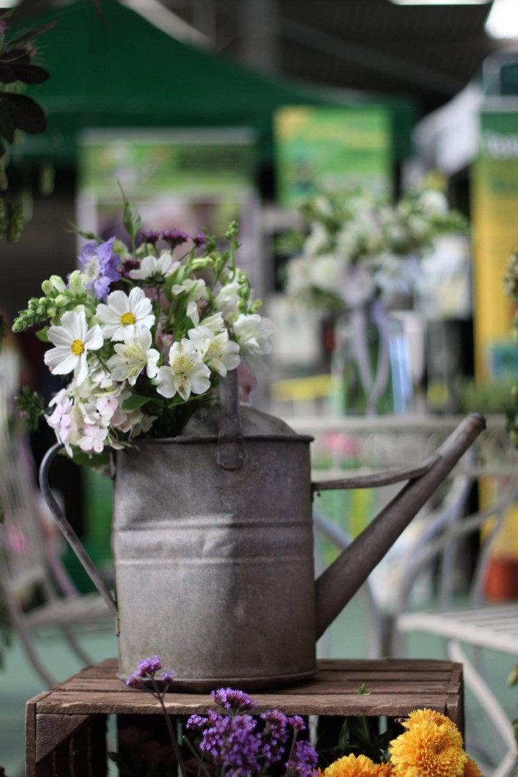 watering can flowers