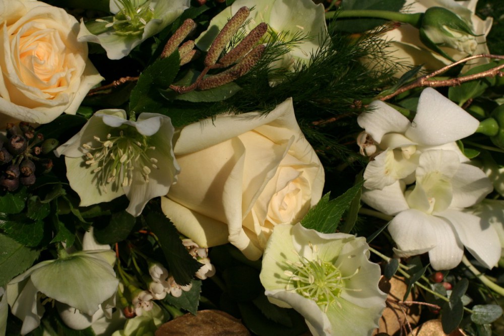 winter hellebores and roses