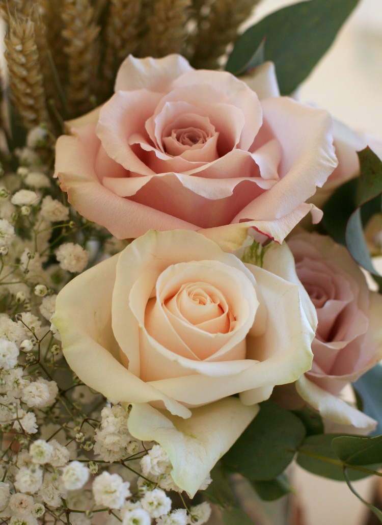 vintage roses
