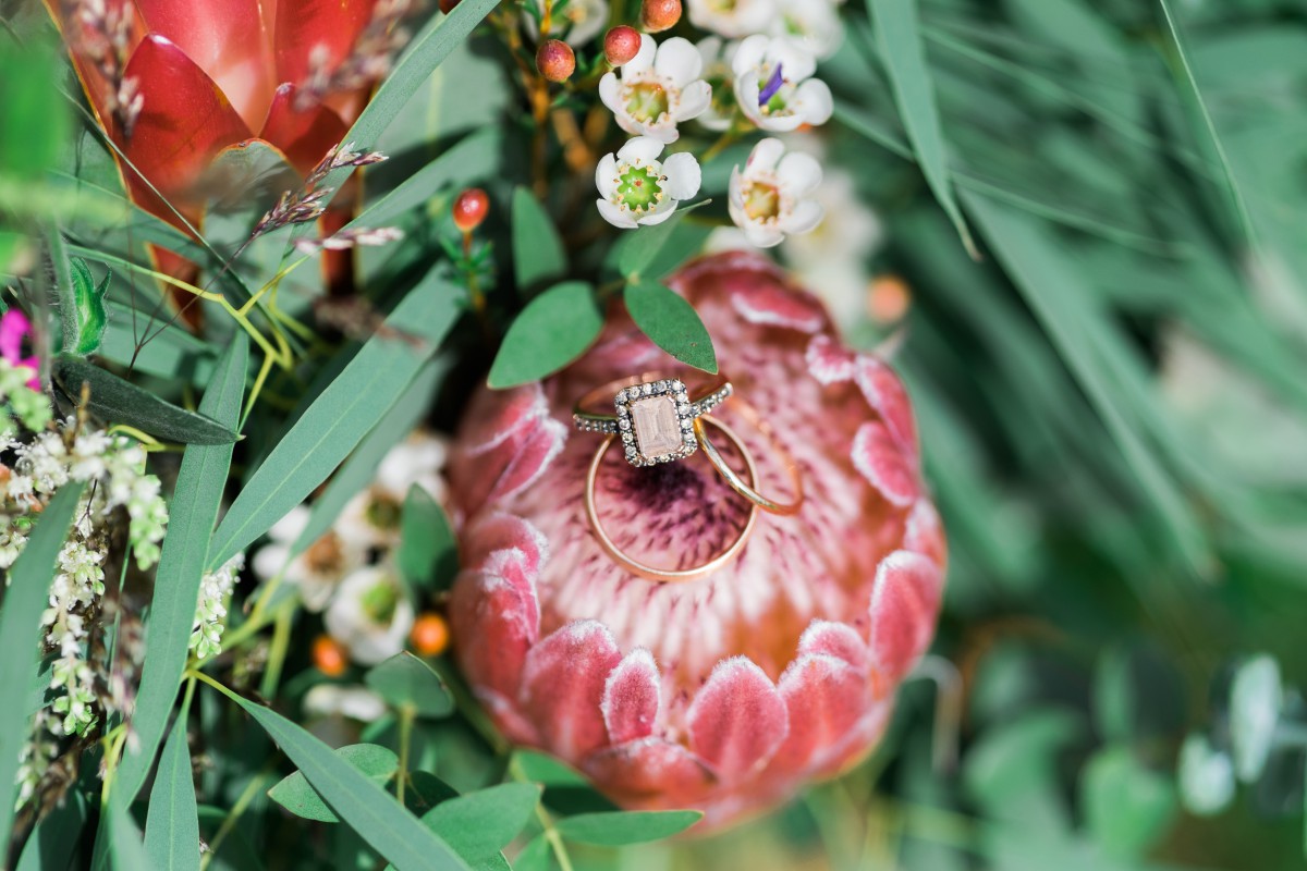 wedding ring on a Protea