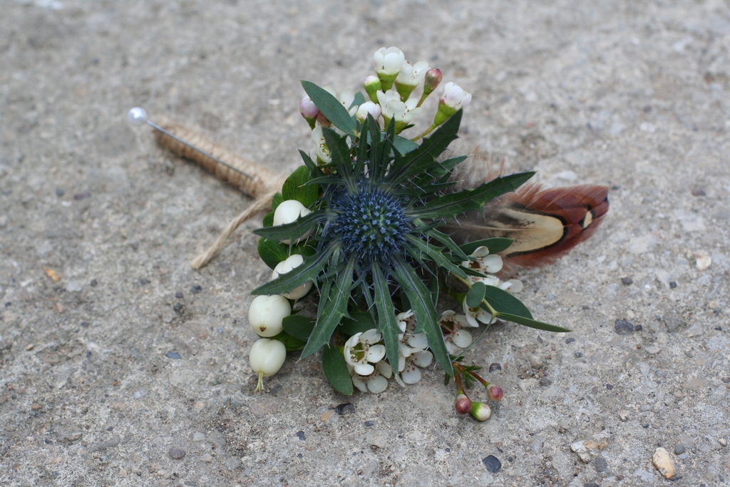 thistle grooms buttonhole